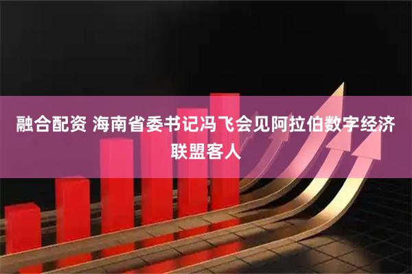 融合配资 海南省委书记冯飞会见阿拉伯数字经济联盟客人