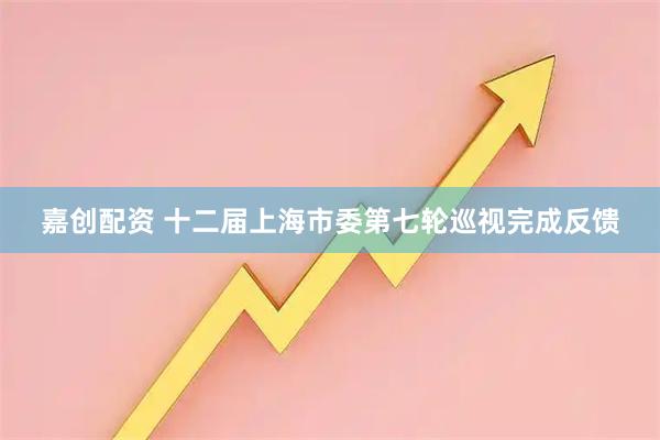 嘉创配资 十二届上海市委第七轮巡视完成反馈